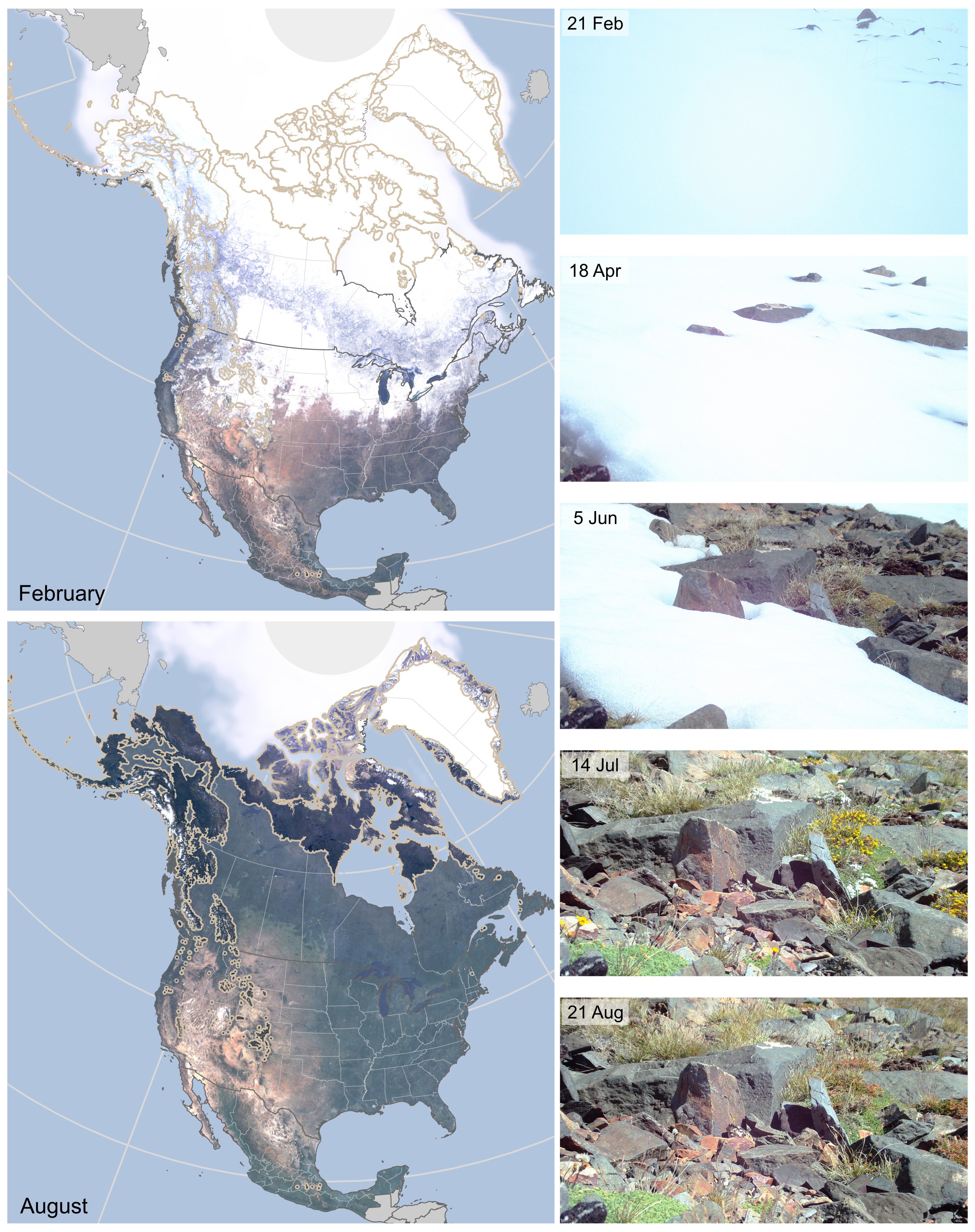 Distribution of North American tundras.