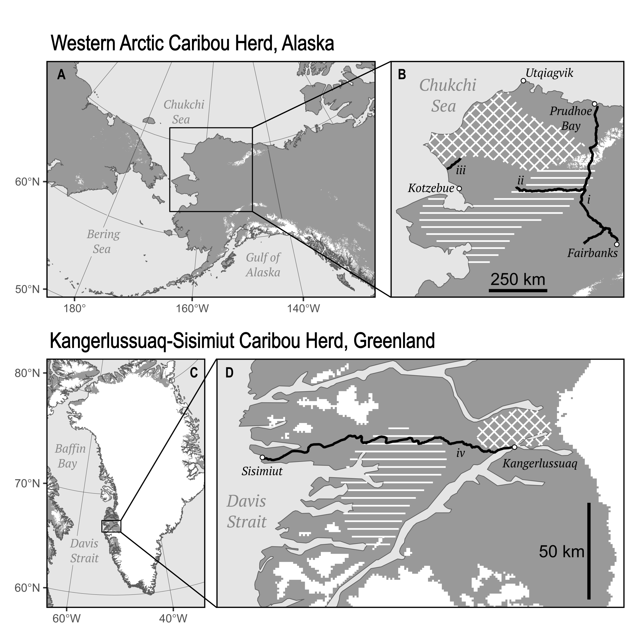 Road plans that could impact caribou migration.