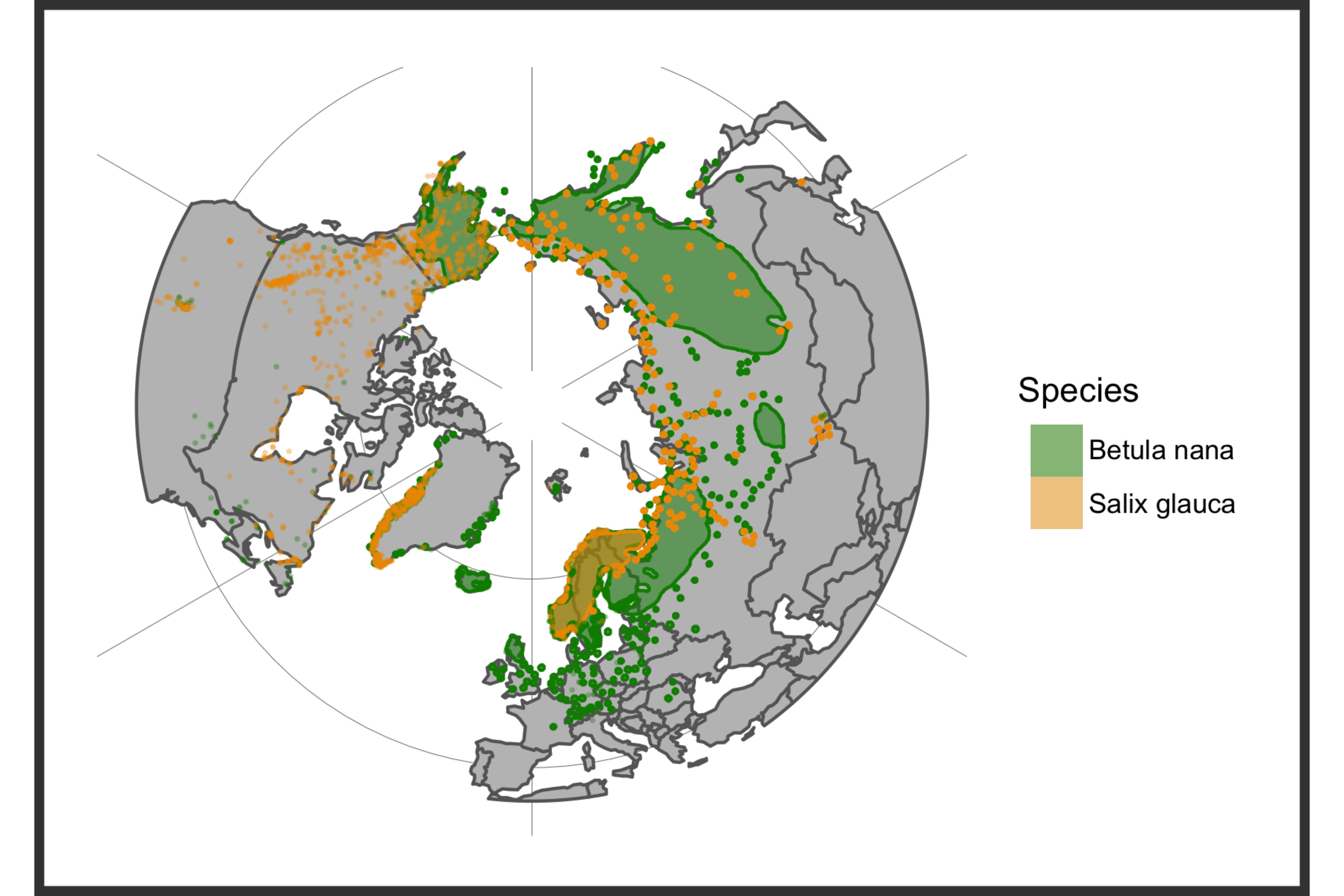 Map of distribution of Betula nana and Salix glauca.