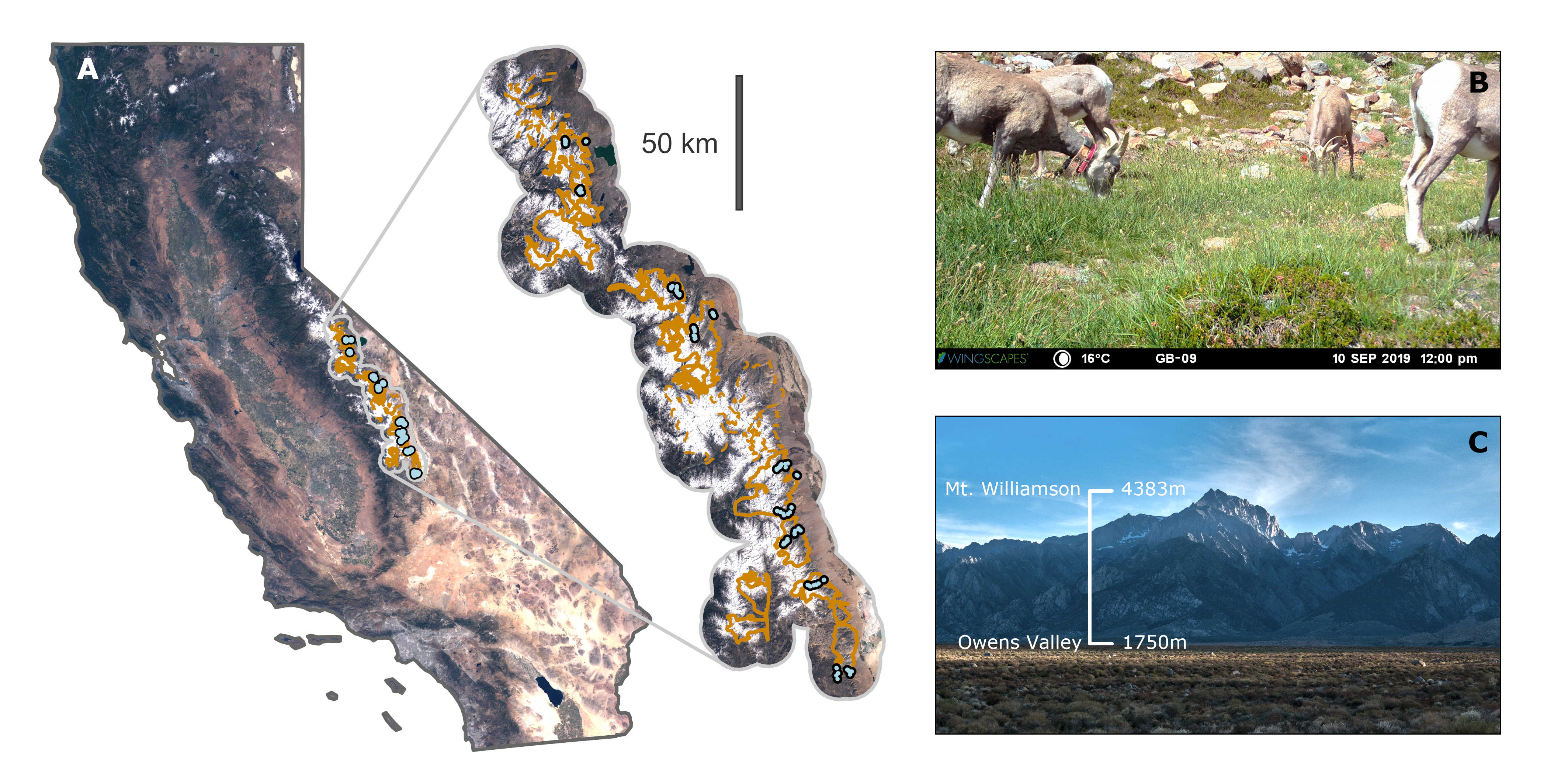 Map of study site at the calving range of the Kangerlussuaq-Sisimiut Caribou Herd.